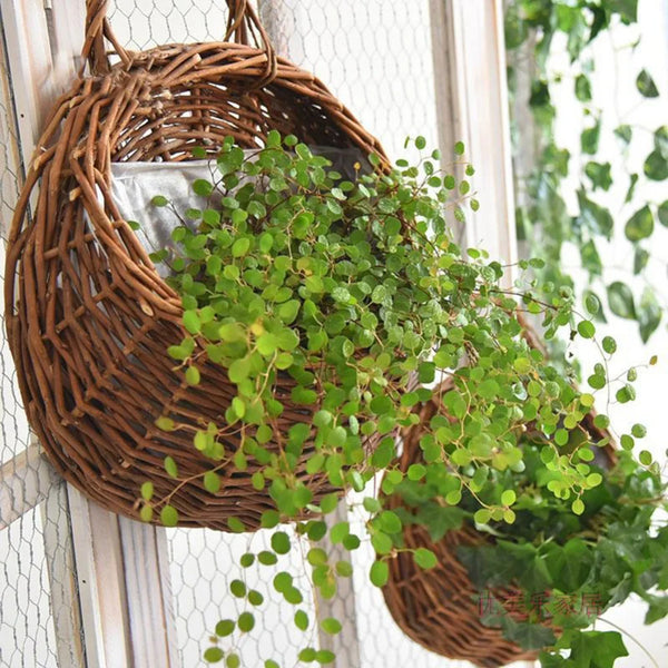 Cesto de Vime para Parede com Suporte - Jardinista